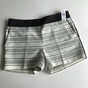 New Ann Taylor Loft dressy shorts stripe Sz 10